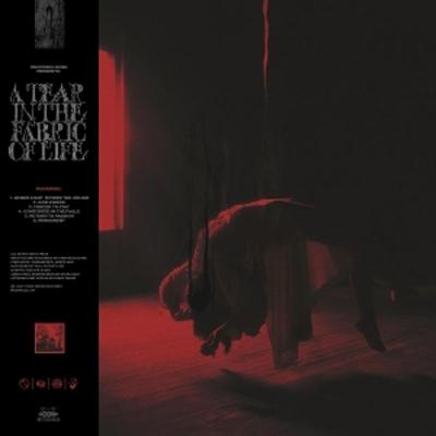 A Tear In The Fabric of Life - Knocked Loose, Vinyl
