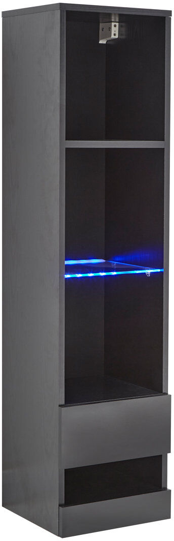 Wade Logan Kedzie Display Cabinet Black 120cm H X 30cm W X 30cm D