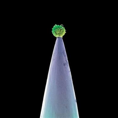 New Blood - Peter Gabriel, CD