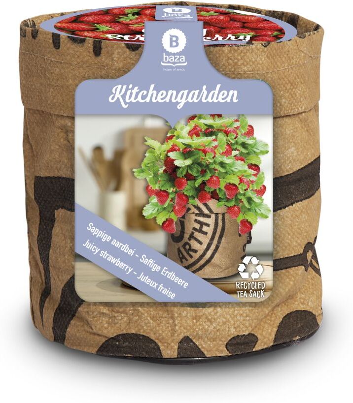 Baza Seeds Kitchengarden saftige Erdbeere