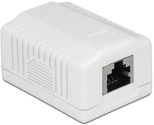 Delock Netzwerkdose Aufputz CAT 6a Weiß