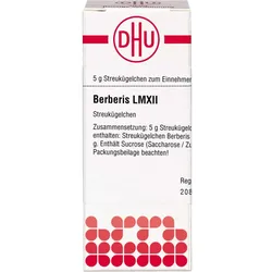 Berberis Lm Xii 5 G