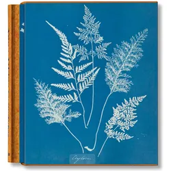 Anna Atkins. Cyanotypes, Fachbücher von Peter Walther