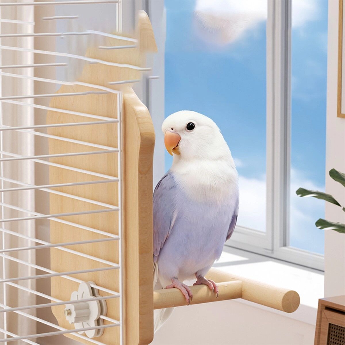 INF Hängender Sitzspiegel für Vogelkäfig - Naturholz Ganzkörperspiegel mit Acryl-Sitzstange, Ein-Dreh Montage, bruchsicheres L