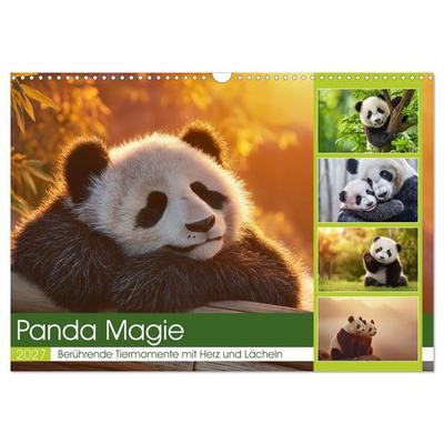 Panda Magie (Wandkalender 2027 DIN A3 quer), CALVENDO Monatskalender