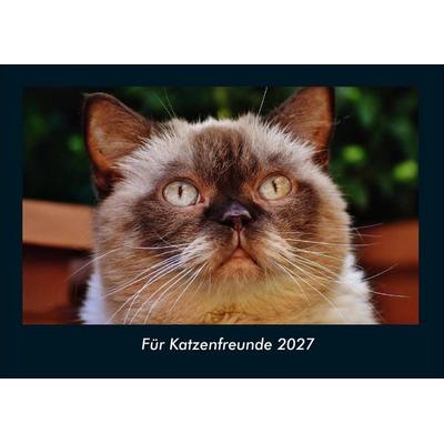 Für Katzenfreunde 2027 Fotokalender DIN A4