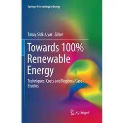 Towards 100% Renewable Energy, Fachbücher