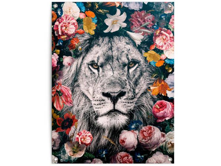 Poster REINDERS Löwe , bunt (farbe bild(er): bunt), B:60cm H:80cm T:0,1cm, Leinwand, Bilder, Poster
