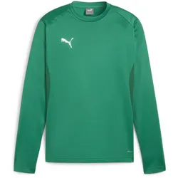 PUMA teamGOAL Trainings-Sweatshirt Herren 05 - sport green/power green/puma white XL
