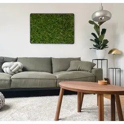 Bilder aus Moos Green Oasis Black - Islandmoos - dark / XL (67 x 100 cm)