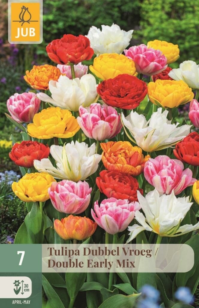 Jub Tulp Double Early Mix 7 bollen