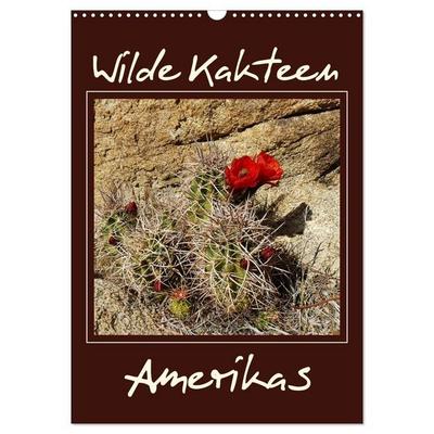 Wilde Kakteen Amerikas (Wandkalender 2027 DIN A3 hoch), CALVENDO Monatskalender