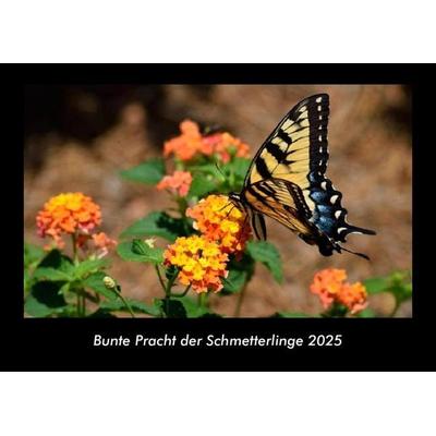 Bunte Pracht der Schmetterlinge 2025 Fotokalender DIN A3