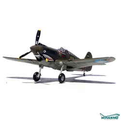 Panzerkampf Model Flying Tigers Hawker P-40C P-8127 14623LD