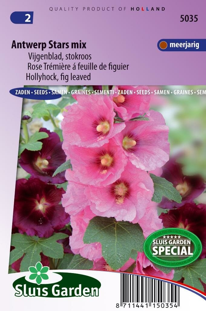 Sluis Garden Alcea Ficifolia stokroos zaden Antwerp Stars
