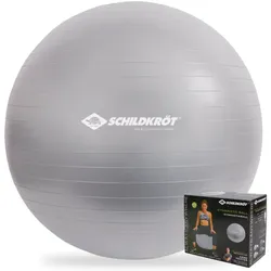 Schildkröt-Fitness - Gymnastikball 55 cm, phthalatfrei, mit Ballpumpe, silber