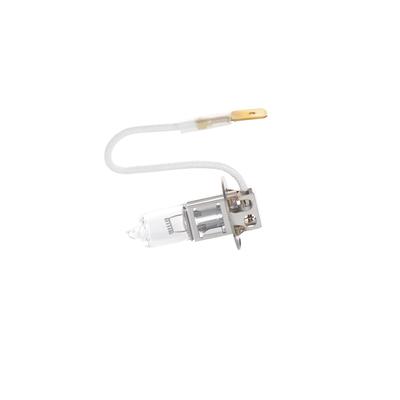 BOSCH Glühlampe, Hauptscheinwerfer MERCEDES-BENZ,VOLVO,IVECO 1 987 302 431 1813000040,20026689,112201240 0050192,5247259,15884540,23463940,1706109