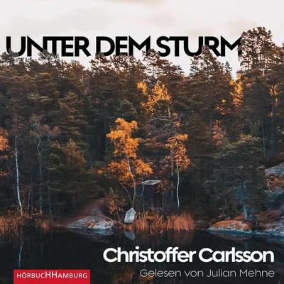 Unter dem Sturm - Christoffer Carlsson, Audio, 9783844926736