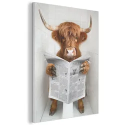 AKUSTIKBILD Schottischer Highlander - Tier - Zeitung - Toilette Wandbilder 60x80 cm