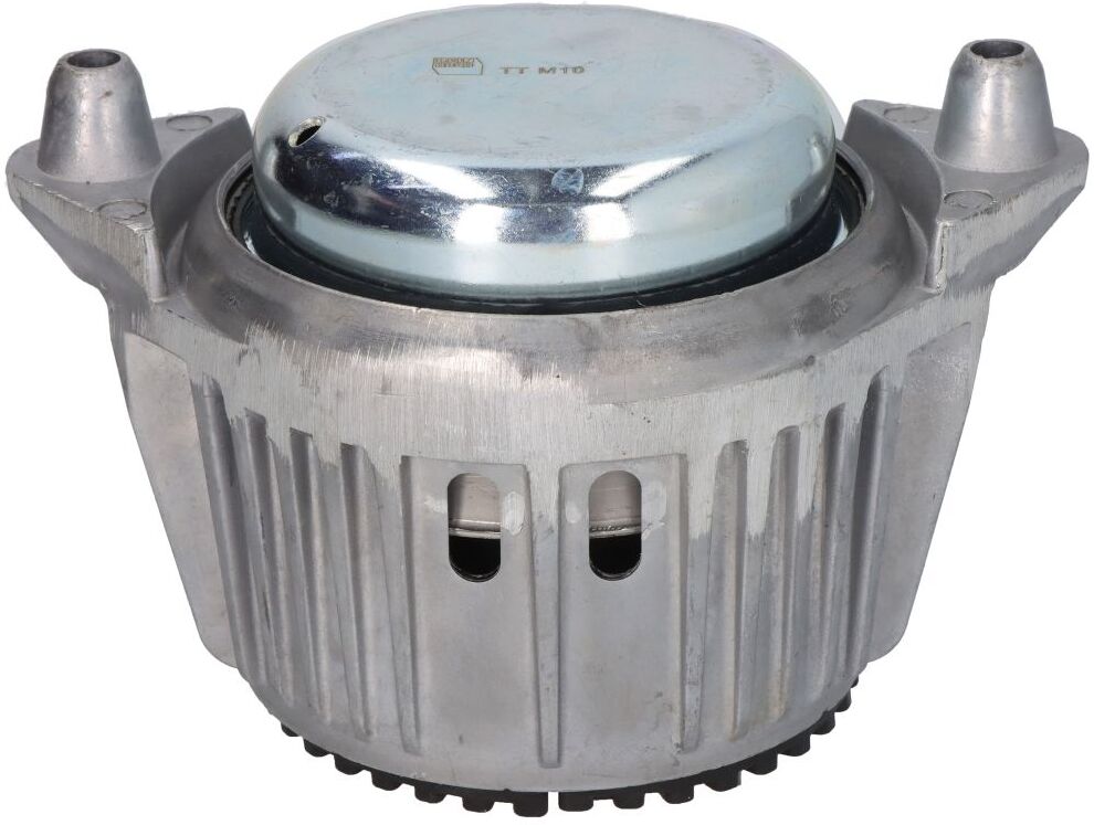 Reinhoch Corpo in gomma, sospensione motore RH11-3101