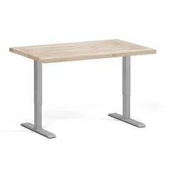 Höhenverstellbare Werkbank für die Werkstatt, 2 Motoren, 1200 x 800 x 760-1230 mm, graues Untergestell