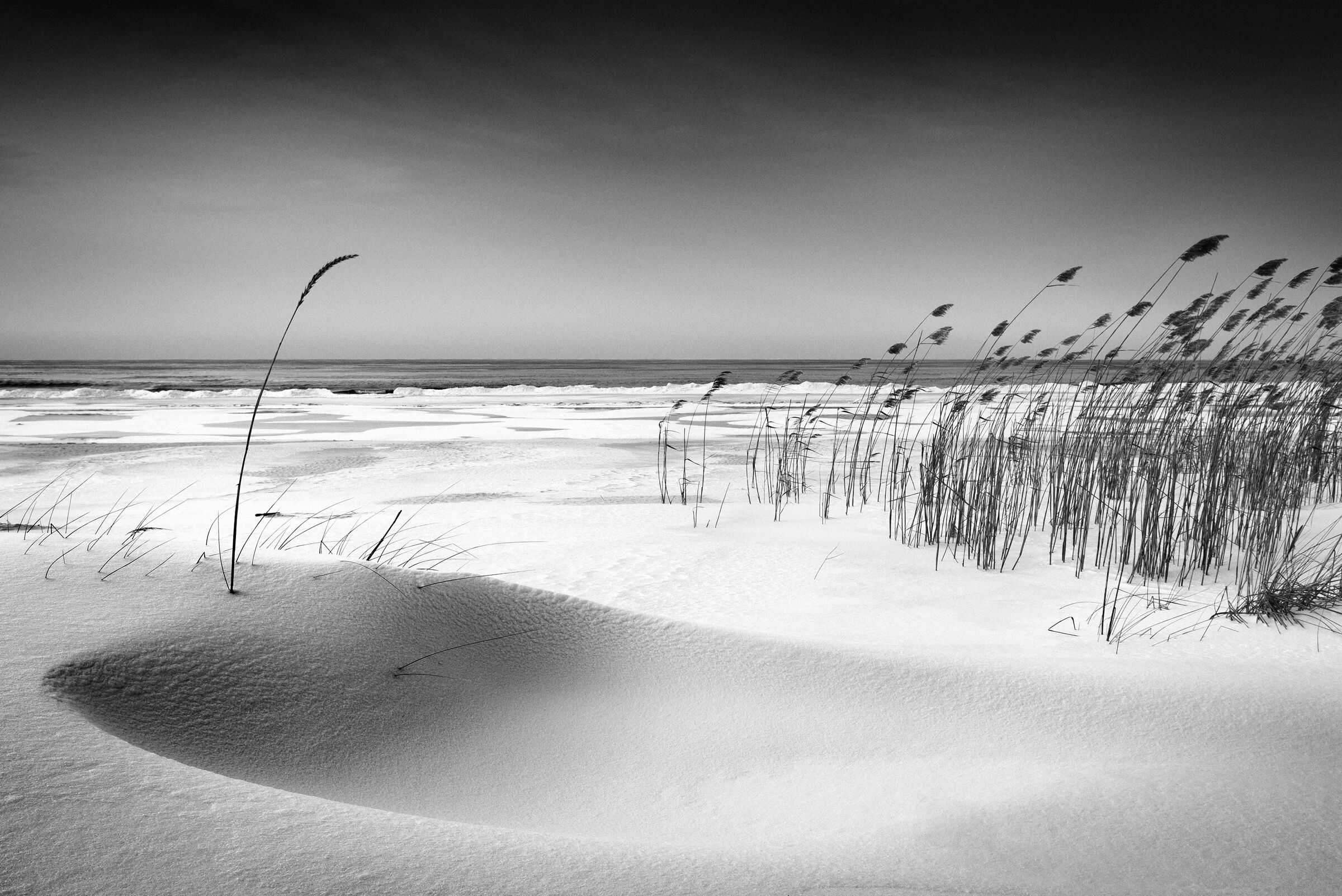 Fototapete PAPERMOON "Photo-Art REINIS CÄªRULIS, ORCHESTER", bunt, B:3,5m L:2,6m, Vlies, Tapeten, Fototapete bunt B/L: 3,5m x 2,6m, Bahnen: 7 Stk.