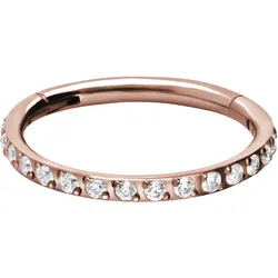 Titan Segmentring Clicker EINGEFASSTE KRISTALLE