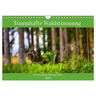 Traumhafte Waldstimmung am Rennsteig im Thüringer Wald (Wandkalender 2027 DIN A4 quer), CALVENDO Monatskalender