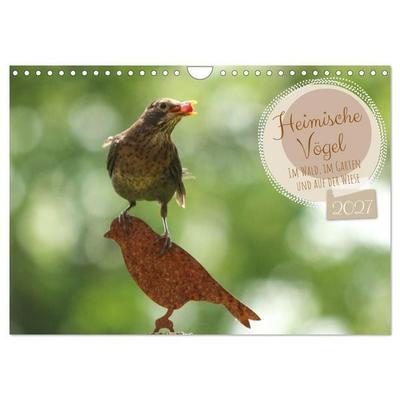 Heimische Vögel - Im Wald, im Garten und auf der Wiese (Wandkalender 2027 DIN A4 quer), CALVENDO Monatskalender