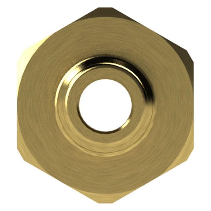 Magni Riegler 107149 Nippel für Kupplungen I.D. 5, Messing blank, G 1/4 ET, AF 17 (Kupplung) (4047322057660)