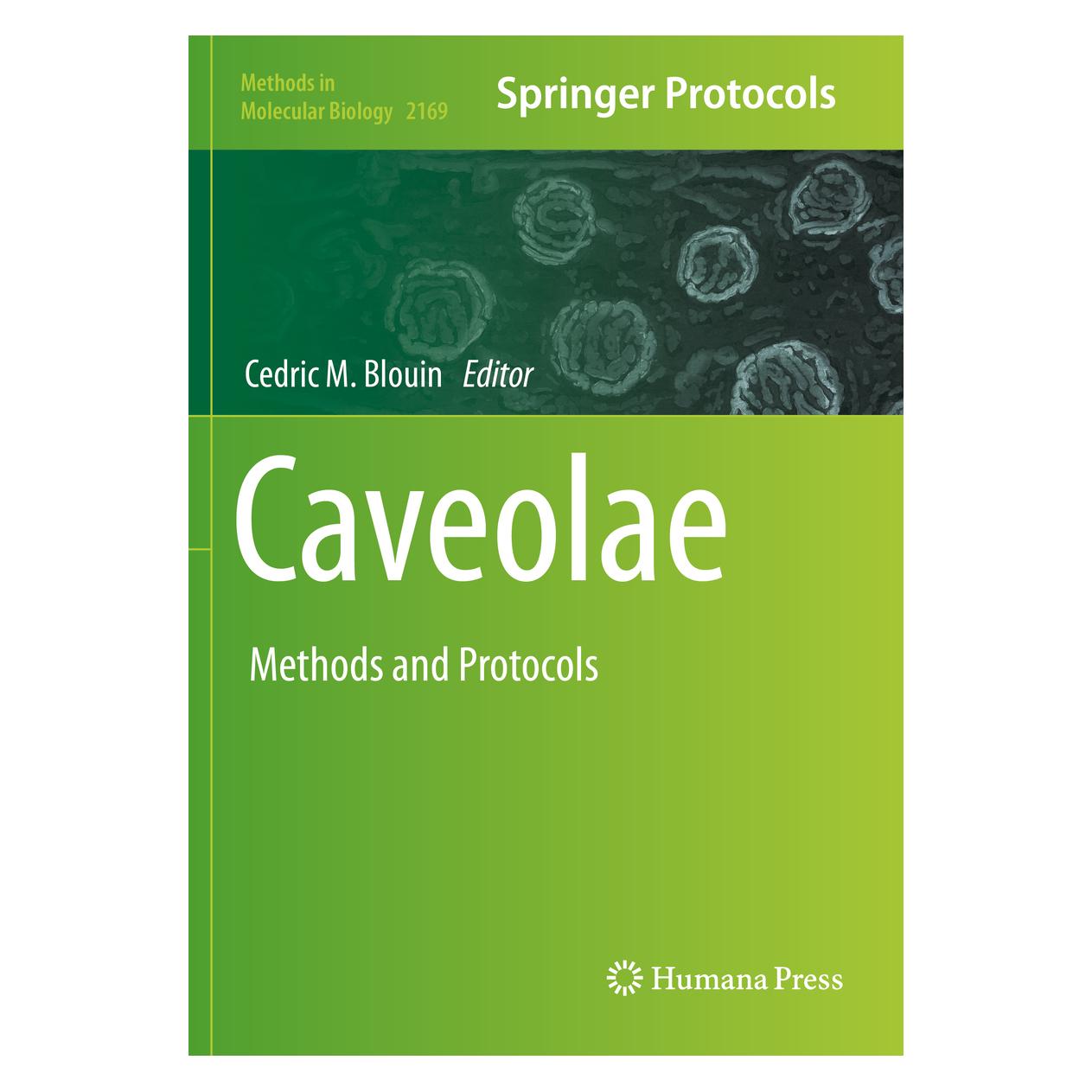 Springer Caveolae (Englisch, Softcover, Cedric M. Blouin) (56189814)