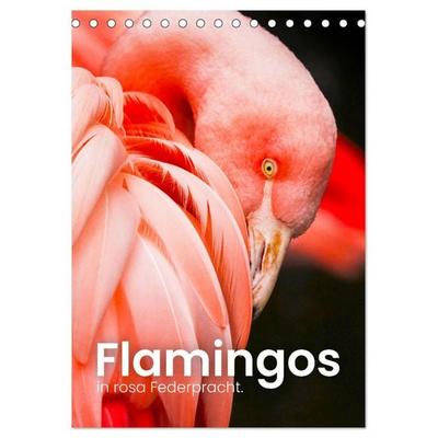 Flamingos in rosa Federpracht. (Tischkalender 2026 DIN A5 hoch), CALVENDO Monatskalender