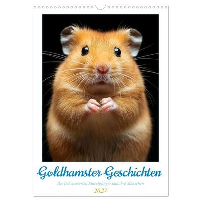 Goldhamster Geschichten (Wandkalender 2027 DIN A3 hoch), CALVENDO Monatskalender