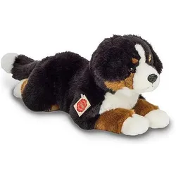 Teddy Hermann Berner Sennenhund (21 cm)
