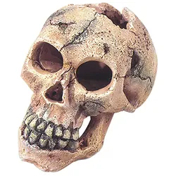 Skull  11cm Aquariendeko