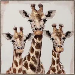 Keilrahmenbild GIRAFFEN TRIO (BHT 60x60x4,80 cm) - BHT 60x60x4,80 cm