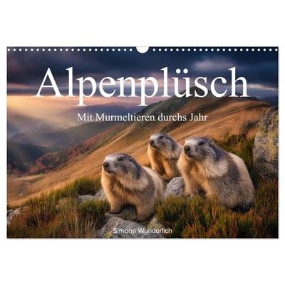 Alpenplüsch - Mit Murmeltieren durchs Jahr (Wandkalender 2027 DIN A3 quer), CALVENDO Monatskalender
