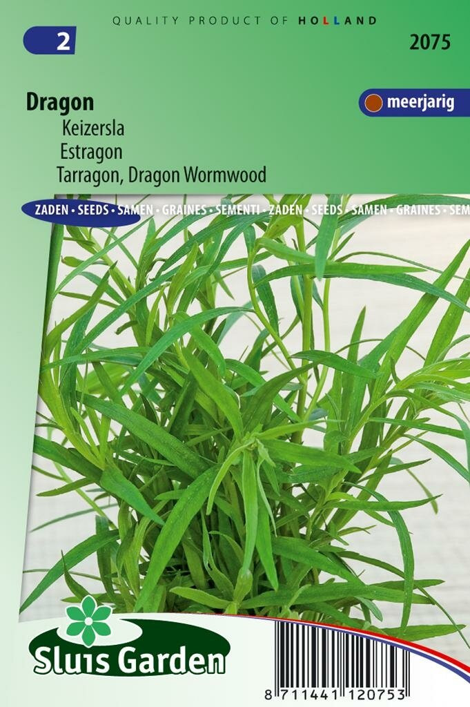 Sluis Garden Russische Dragon (Artemisia dracunculus) Kruidenzaden