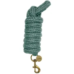 Kieffer Führstrick für Pferde, Satin Shine, 2 m - Drehkarabiner, Mint
