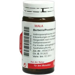 Berberis/prostata Comp. 20 g