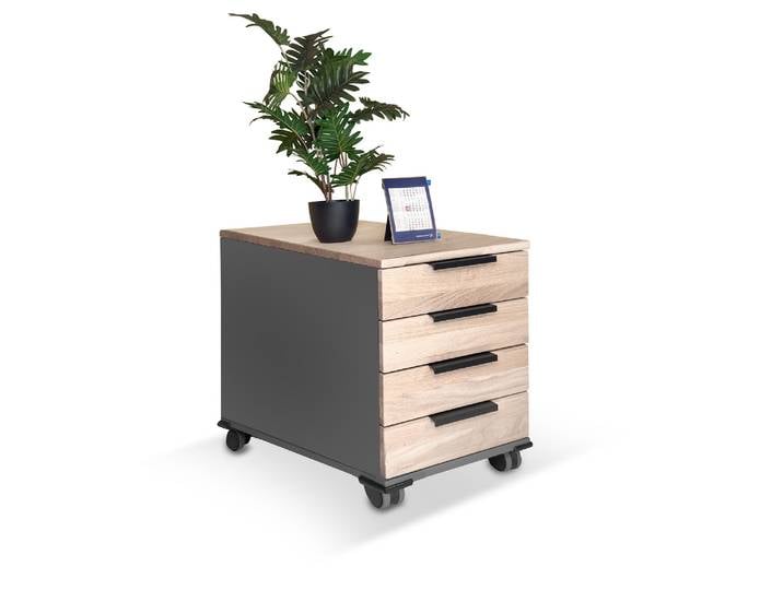 OFFICE OAK Rollcontainer, Material teilmassiv, Eiche /