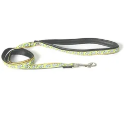 Image Olivier (Hund, Hundesport, Spazieren), Halsband + Leine