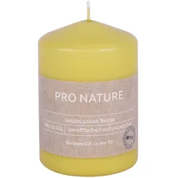 Pro Nature Stearin Stumpenkerze - 100x68mm Honig