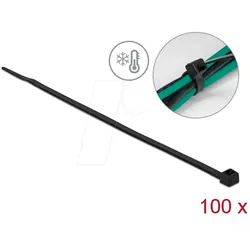 DELOCK 19189 - Kabelbinder kälteresistent L 200 x B 4,8 mm schwarz 100 Stück