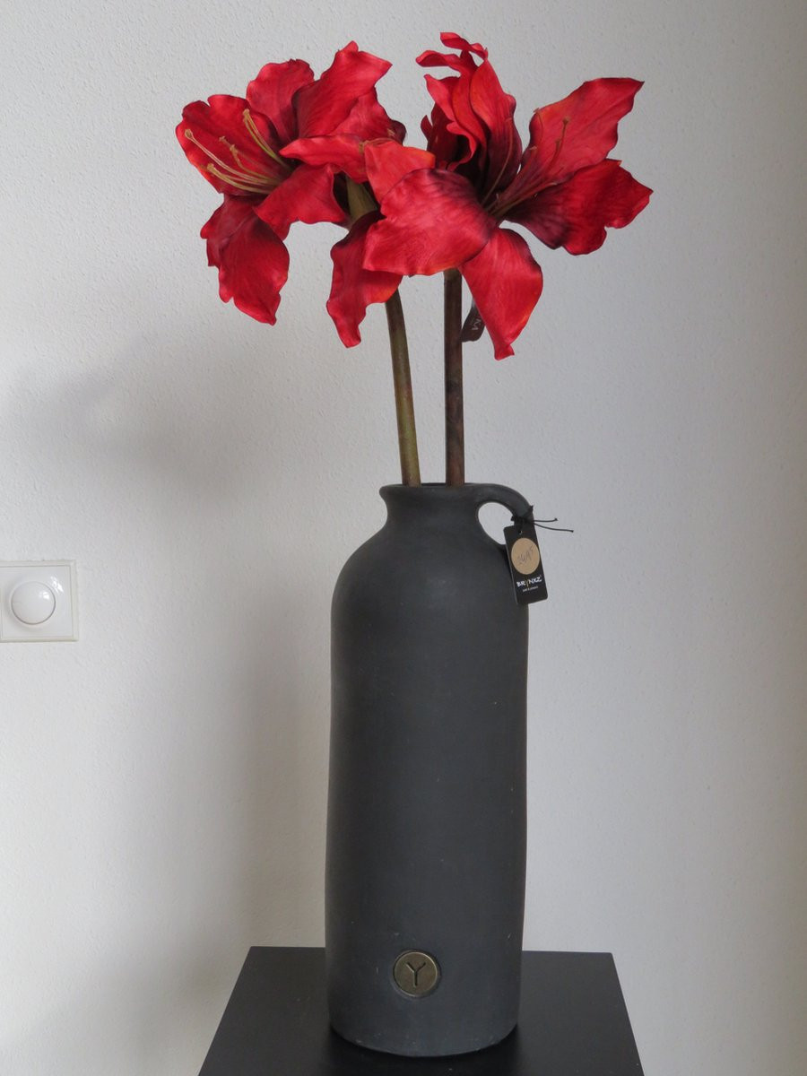 BRYNXZ Fles met Silkka Rode Amaryllis
