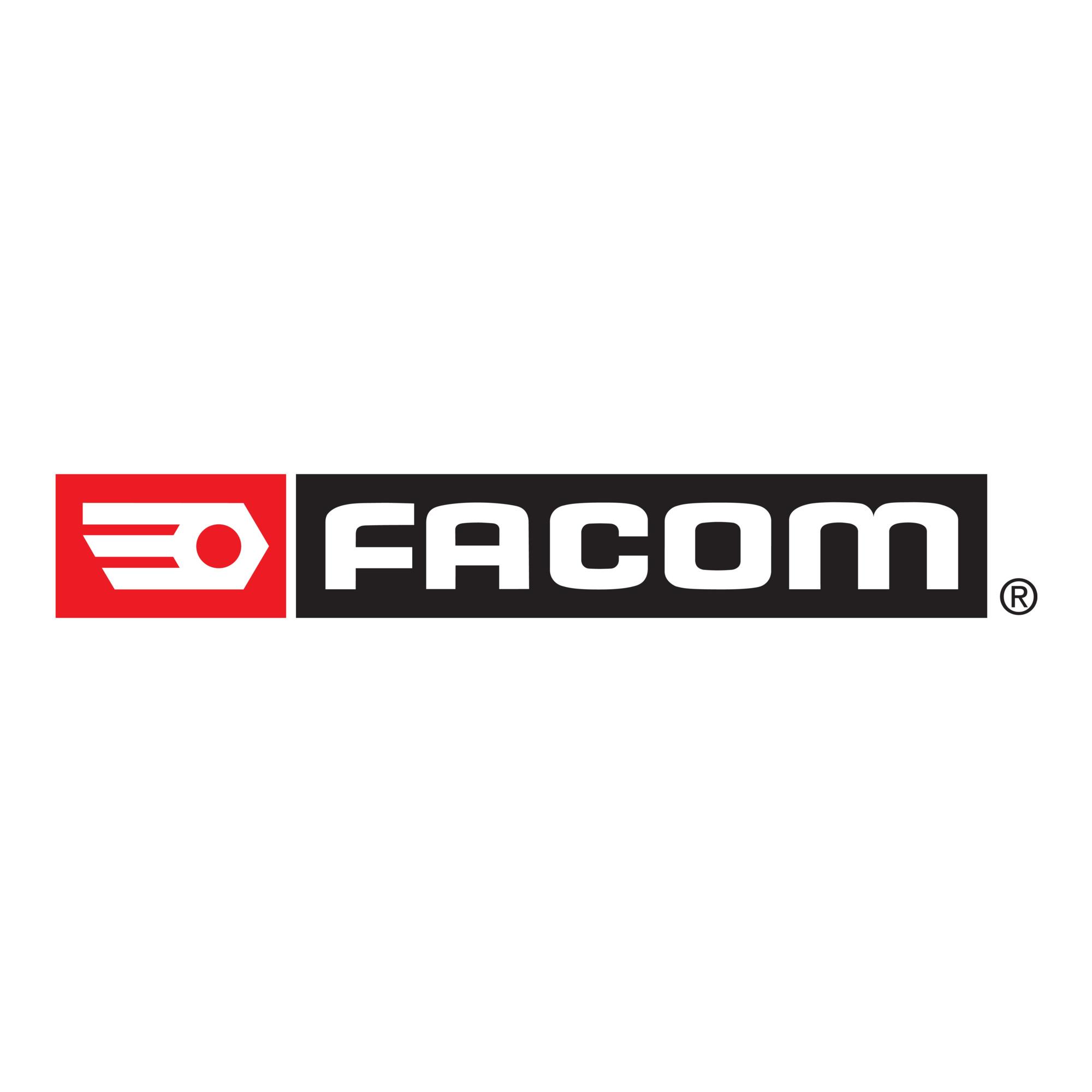 Facom Knarren-Ring-Maulschlüssel 7mm Gelenk (467BF.7)