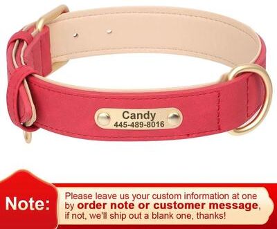 Uplift Essentials Personalized Custom Leather Dog Collar Handcrafted PU Leather With Free Engraved Nameplate red xl