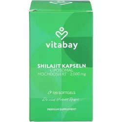 Liposomales Mumijo Shilajit 1000 mg Hochdosiert 120 ST