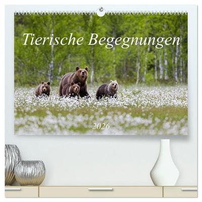 Tierische Begegnungen (hochwertiger Premium Wandkalender 2026 DIN A2 quer), Kunstdruck in Hochglanz