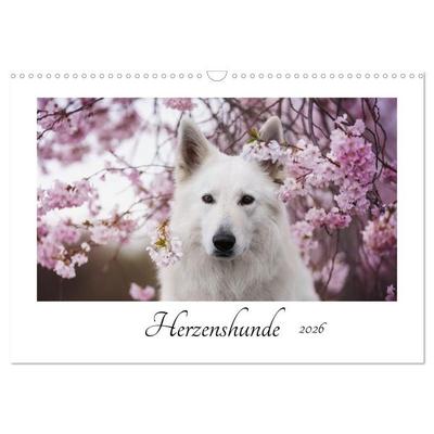 Herzenshunde 2026 (Wandkalender 2026 DIN A3 quer), CALVENDO Monatskalender
